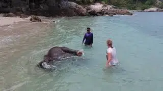Swimming with Elephants in Thailand (Phuket)