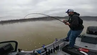 Cold Water Lethargic Catfish!