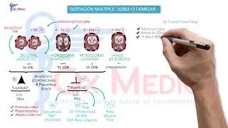 Emabarazo multiple Resumen