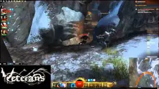 [GW2] Guild Rush: Bear Lope - Veterans Guild [VG]