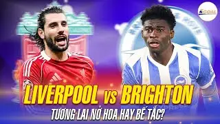 NHẬN ĐỊNH LIVERPOOL VS BRIGHTON &ndash; TƯƠNG LAI NỞ HOA HAY BẾ TẮC? #5goal