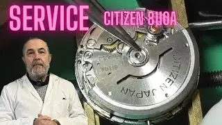 Service CITIZEN 8110A