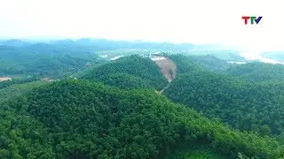 Khai trương công viên sinh thái tre luồng đầu tiên của Việt Nam tại Thanh Hóa