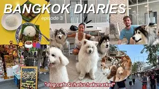 Дневники Бангкока, 3 серия | Кафе для собак и рынок Чатучак