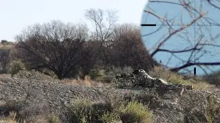 Hunting Doesn't Get Cleaner Than That