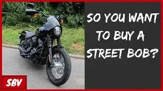 Softail Street Bob FXBB Harley Davidson  - So You Want To Buy A Street Bob?