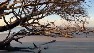 Bull's Island