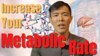 How to Boost your Metabolism Naturally with Exercise & Diet?