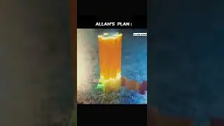 ALLAH'S  PLAN 🌸#islamicvideo #allah #ALLAH'SPLAN