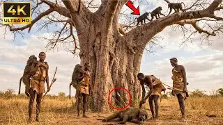 Supervivencia Real en África: Cómo la Tribu Hadzabe Caza Babuinos en la Cima de Árboles Gigantes