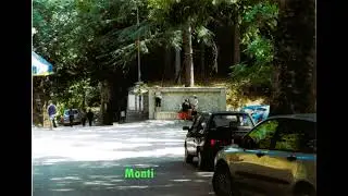 #monticchio viali n3