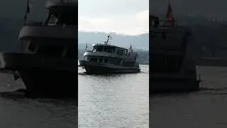 Z&uuml;rich see 🛳️🌊
