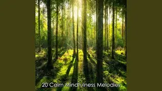 Finding Calm