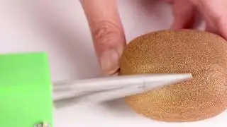 Proshine handheld chicken plucker makes plucking super convenient!