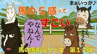 馬の愚痴シリーズ11、「五感すごいけど！」