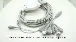 Custom Type-C to 10 Leads 4.0mm Female Snap Electrode Cable | ISO13485 Certified  Manufacturer