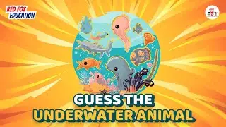 Guess the Underwater Animals | English Quiz for Kids | Fun Vocabulary Game