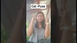how sign language animals learning 🐕🐖🐮🐹