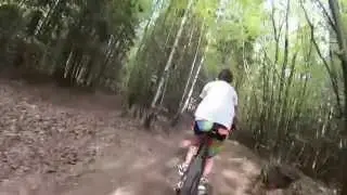 Mountainbiken Wurzelweg in Wilhelmsburg