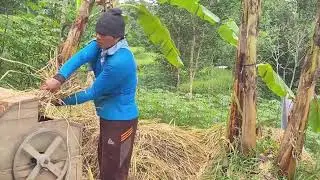Traditional Soil Hoeing for Farming Success #RuralAgriculture #TraditionalFarming