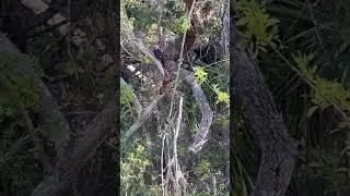 Port charlotte, Florida
