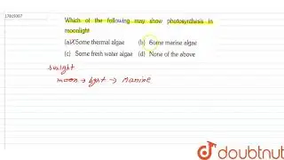 Which of the following may show photosynthesis in moonlight
