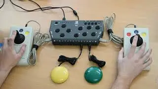 Co-Piloting on the Nintendo Switch?? With Flex Controller, you can even do it with EyeGaze!