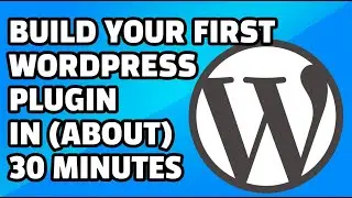 I Created a WordPress Plugin in 30 Minutes (Here's How)