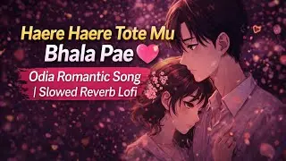Haere Haere Tote Mu Bhala Pae 💗 | Odia Romantic Song | Slowed Reverb Lofi