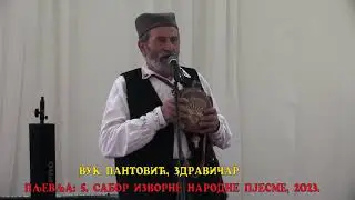 VUK PANTOVIĆ: ZDRAVICA U PLJEVLJIMA, 2023.