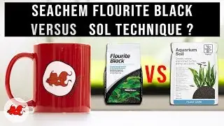 Aqua Tea '- Is Planted Aquarium Soil essential?
