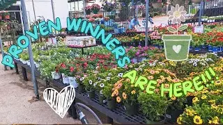 Calloway's Nursery Haul!! Proven Winners Annuals are HERE!!  It's SHOW Time! #planthaul #spring2024