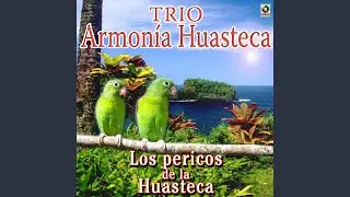 El Fandanguito