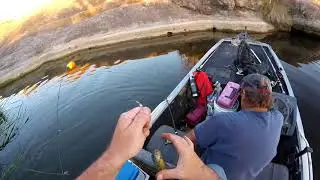 Patagonia Lake - 12lb Flathead Catfish!