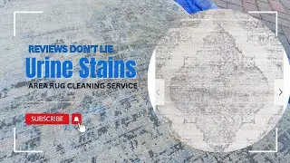 👉 Area Rug Cleaning in Kendall &ndash; Oriental, Wool & Fine Rugs | Keep It Clean Carpets and Tile
