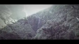 Ron Verboom - Lost in a Magical Forest