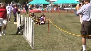 Woofstock 2011 Highlights