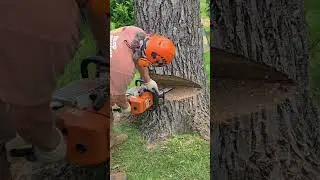 PLATE CUT AND CENTER PLUNGE ON A SIMPLE WALNUT BACKYARD DROP