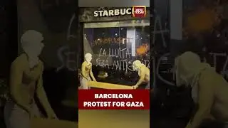 Pro-Gaza Protest in Barcelona | #shorts #barcelona #gazaprotest