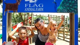 FLAG ANIMAL FARM l Salt Rock l Ballito l Kids Activity l South African YouTubers l Dec 2021