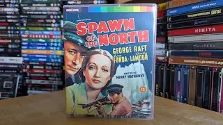 Spawn of the North Limited Edition Review | Indicator