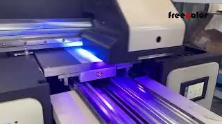 Freecolor uv printer factory overview