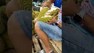 Durian super borneo #durian #buahdurian #durianindonesia #buah #borneo #kalimantan #shorts #fyp
