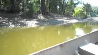 LOW WATER HOT SUMMER CATFISHING