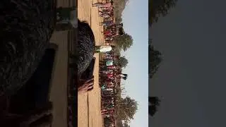 Dantewada gotpal mela video