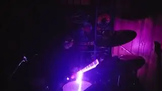 Electric Lady Land 