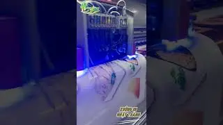 in UV rẻ tại NHẬT TH&Agrave;NH #inuv