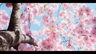 Awakening Faith in Nature 03.04.22