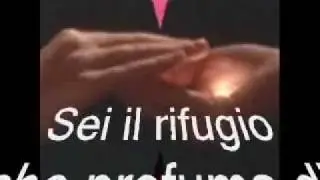 NOTE D'AMORE