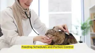 Feed Your Cat Like a Pro! (Cat Food Tips) #CatFoodGuide #HealthyCat
